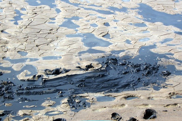 Bùn đáy ao nuôi tôm