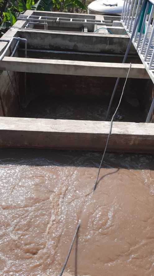 Nuôi cấy vi sinh tại bể sinh học hiếu khí giúp đẩy nhanh quá trình xử lý nước thải đạt chuẩn