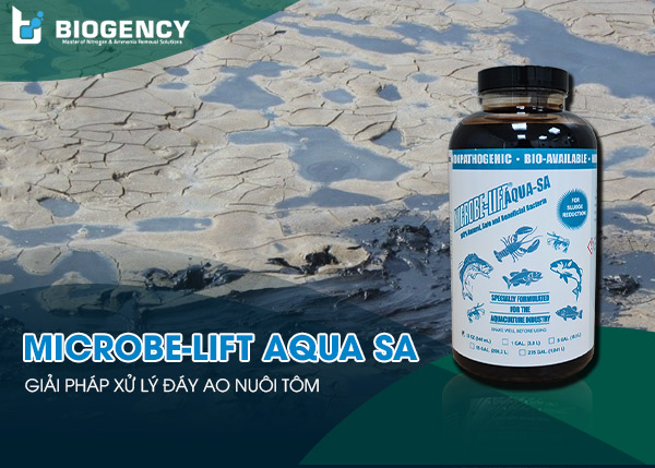 men vi sinh xử lý đáy Microbe-Lift AQUA SA