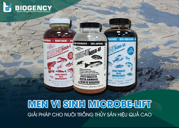 Men vi sinh Microbe-Lift - Giải pháp cho nuôi trồng thủy sản hiệu quả cao.