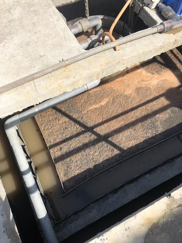 Bùn nổi bể lắng do quá tải.