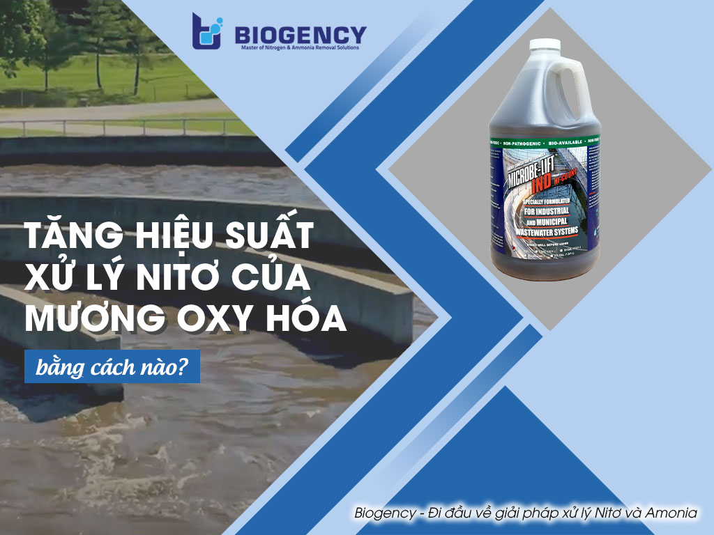 tăng hiệu suất xử lý nitơ của mương oxy hóa
