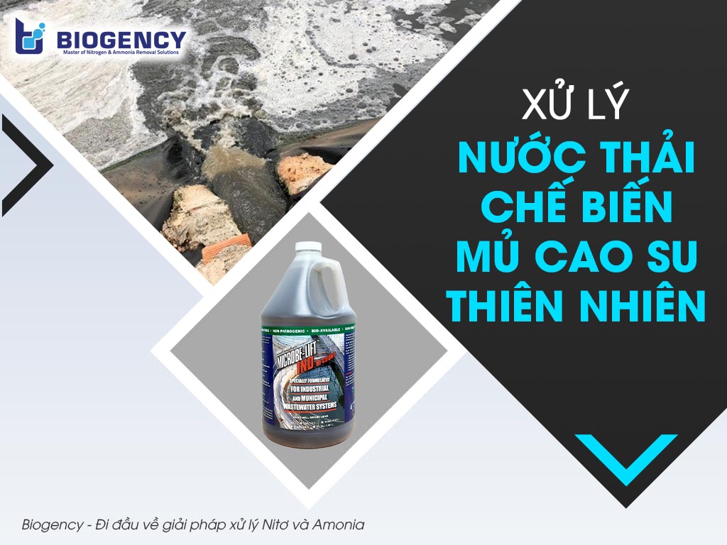 xử lý nước thải chế biến mủ cao su
