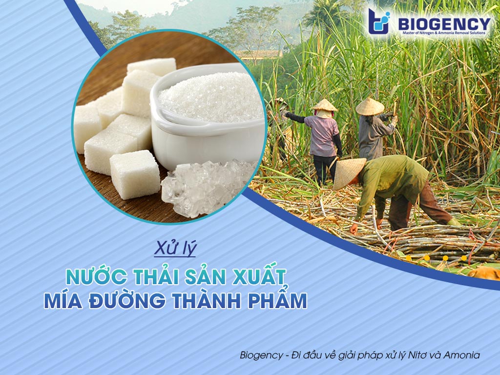 xử lý nước thải sản xuất mía đường