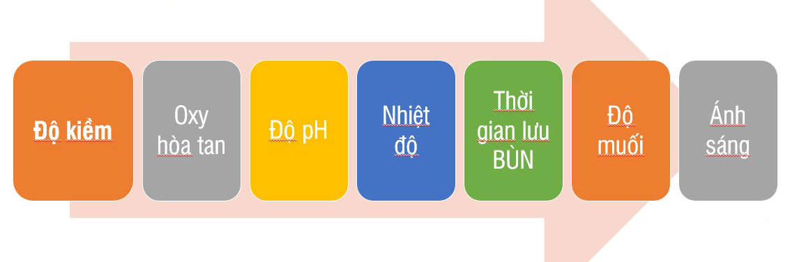 7 điều kiện xử lý Nitơ, Amonia cần kiểm soát