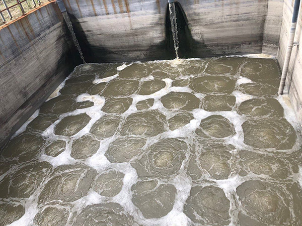 Bể điều hòa của một hệ thống xử lý nước thải sinh hoạt