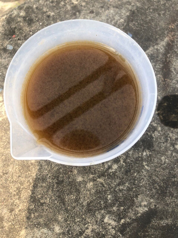 Bùn hoạt tính là công nghệ xử lý sinh học phổ biến nhất trong các hệ thống xử lý nước thải