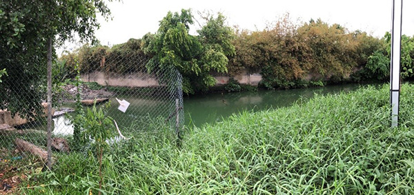 Nước thải bị ô nhiễm Nitrat gây nên hiện tượng phú dưỡng hóa