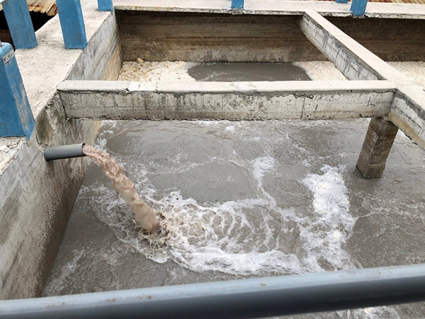 Nước thải chế biến thủy sản chứa nồng độ cao các chất hữu cơ, đặc biệt là COD và Nitơ