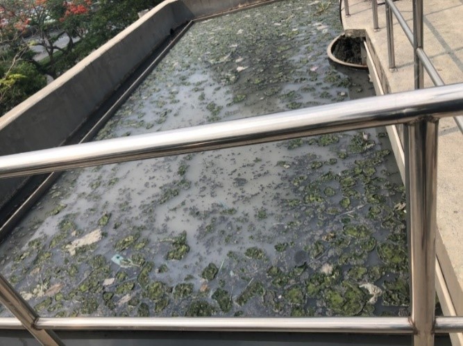 Bể lắng lâu ngày không vệ sinh khiến bùn nổi phát sinh mùi hôi.