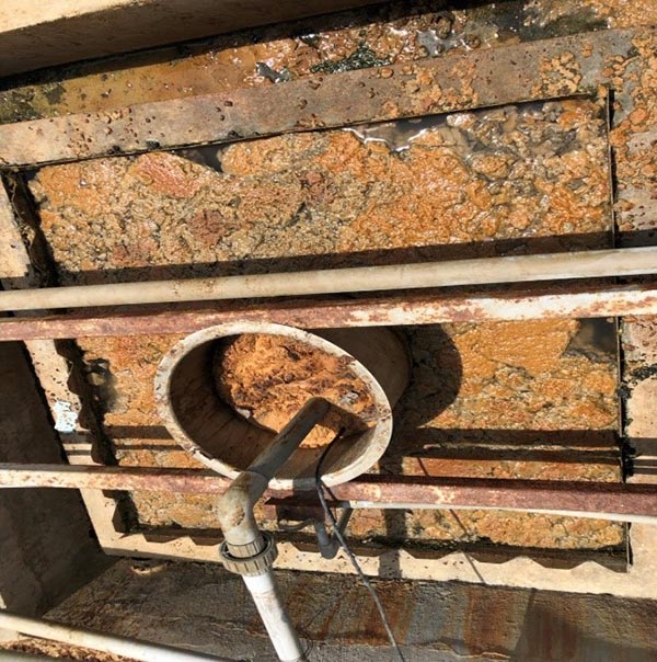 Bể lắng lâu ngày không vệ sinh khiến bùn nổi phát sinh mùi hôi.