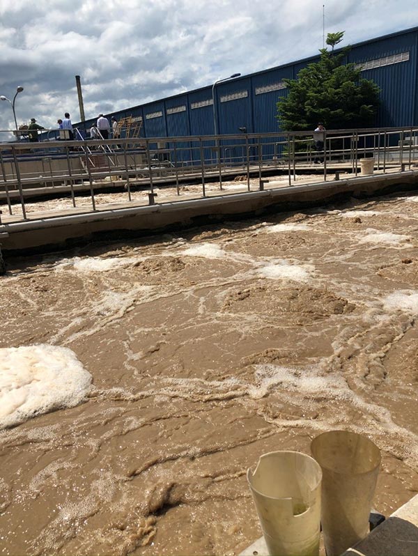 Bùn hoạt tính khỏe mạnh có màu nâu