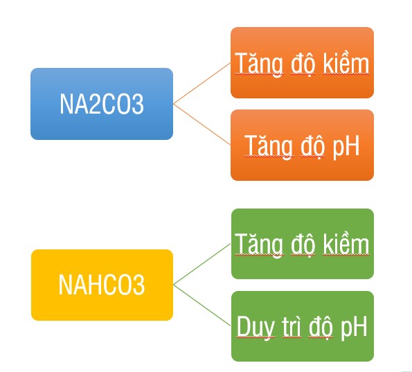 Hóa chất dùng để tăng độ kiềm trong quá trình xử lý Nitơ, Amonia.