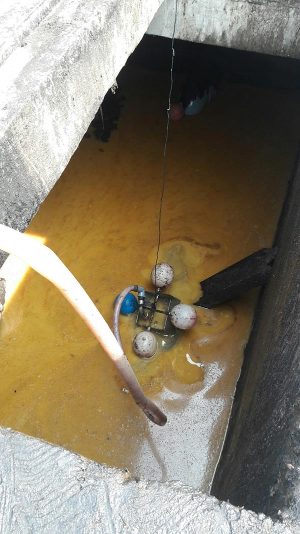 Bể tách mỡ trong hệ thống xử lý nước thải của nhà máy chế biến cá da trơn