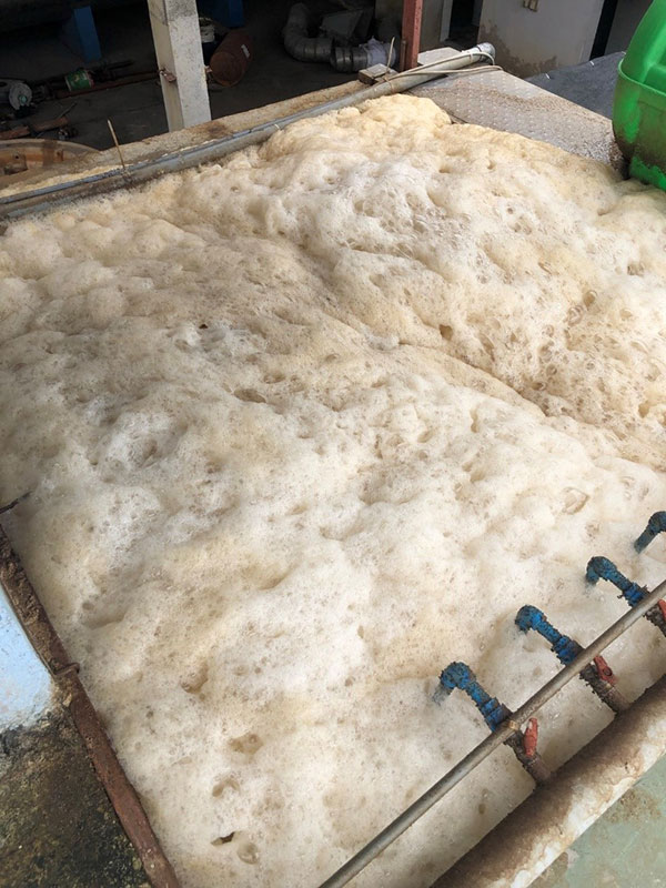 Bọt trắng trong bể sinh học hiếu khí do mất cân bằng dinh dưỡng.