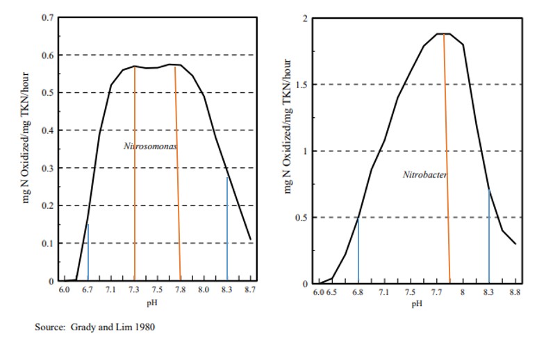 Sơ đồ biểu thị độ pH ảnh hưởng đến khả năng hoạt động của hai chủng vi khuẩn xử lý Nitơ, Amonia (Nitrosomonas và Nitrobacter)