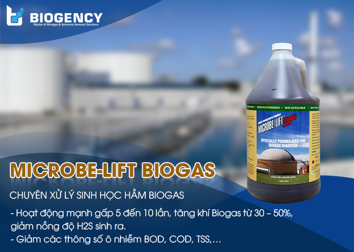 Microbe-Lift BIOGAS