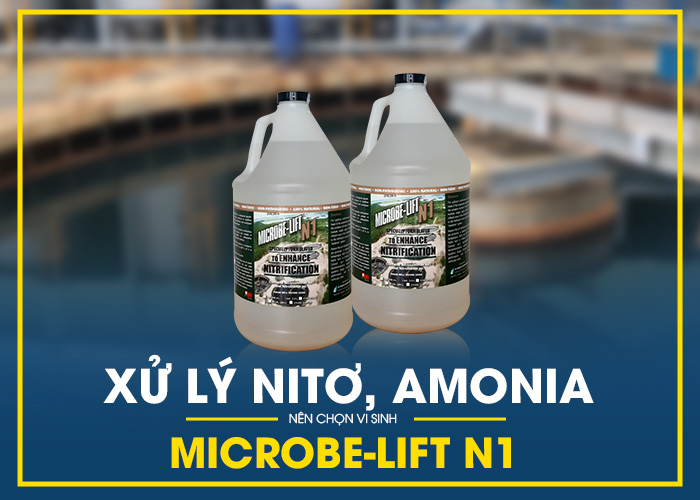 Men vi sinh Microbe-Lift N1