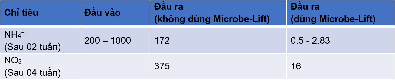 Kết quả sau 02 tuần và 04 tuần áp dụng