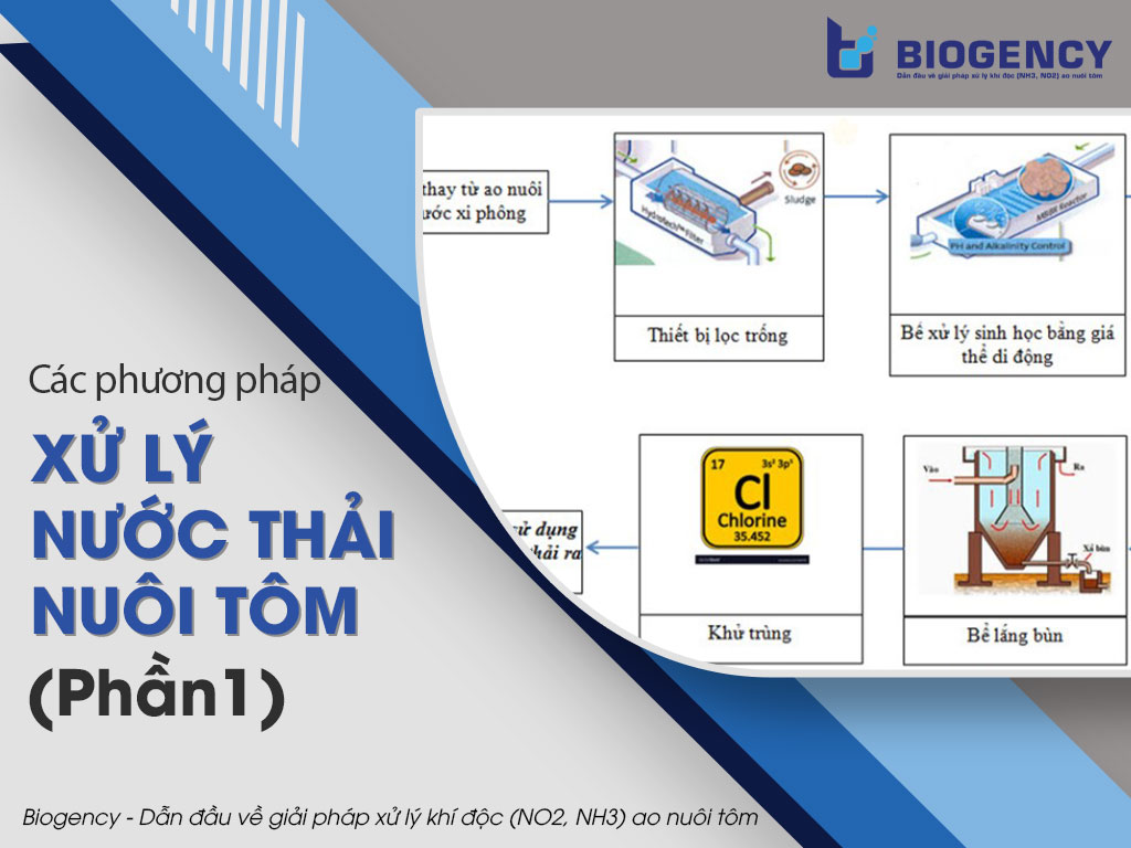 phương pháp xử lý nước thải nuôi tôm