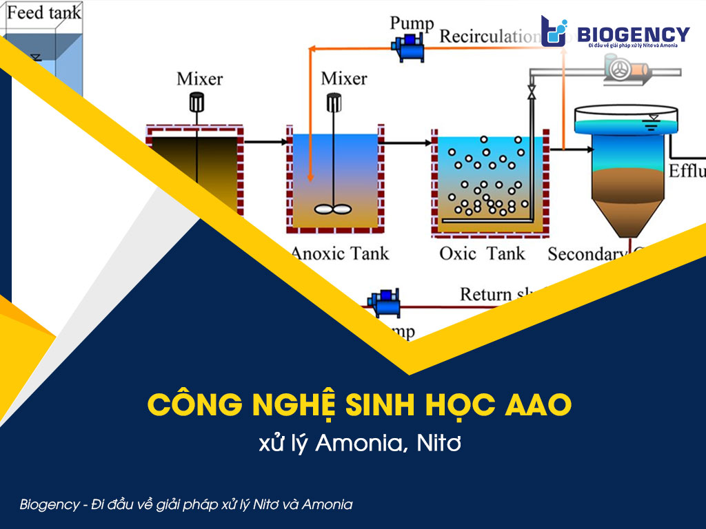 công nghệ sinh học aao
