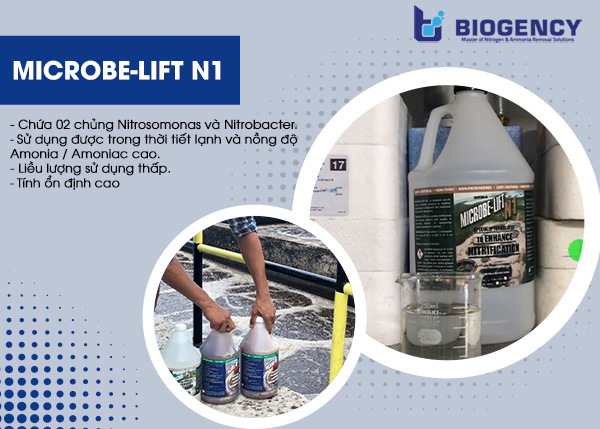 Vi sinh Amonia / Amoniac Microbe-Lift N1