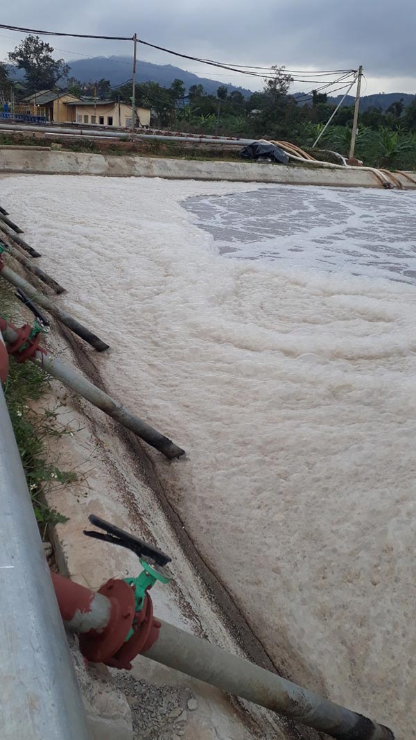 Hệ xử lý nước thải bị quá tải