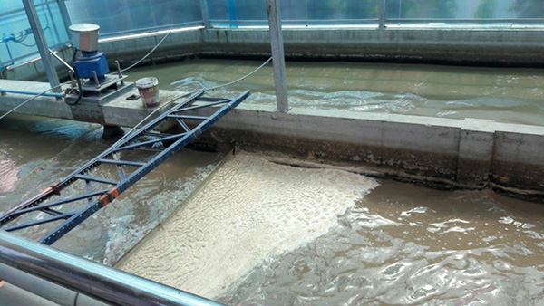 Một hệ thống xử lý nước thải nhiễm mặn