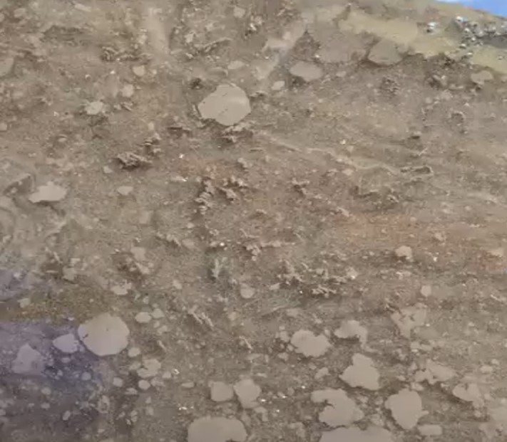 Bùn vón cục do sự làm kén của ấu trùng Midge với bùn và chất hữu cơ.