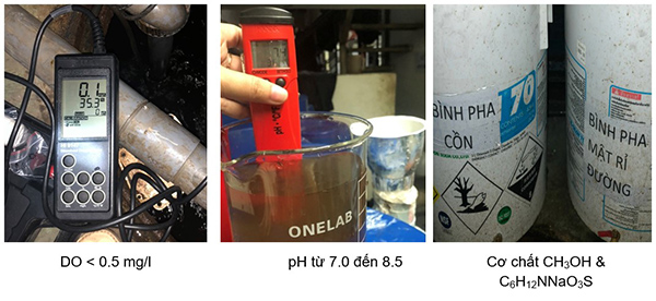 Cần kiểm soát chặt chẽ các điều kiện trong bể xử lý nước thải để quá trình phản Nitrat hóa diễn ra trơn tru.
