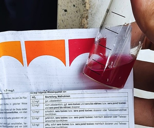 Sử dụng bộ kit test để xác định nồng độ NH3, NO2 trong ao nuôi tôm