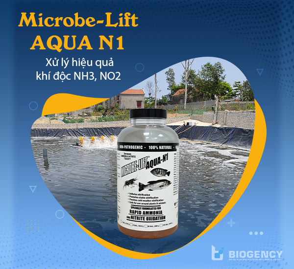 Men vi sinh Microbe-Lift AQUA N1 – Xử lý hiệu quả khí độc NH3, NO2 ao nuôi tôm