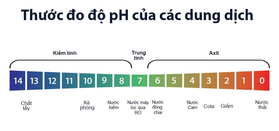 pH là yếu tố ảnh hưởng đến nuôi tôm bà con nên kiểm soát hằng ngày