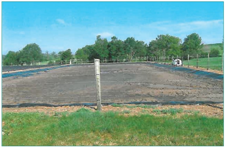 Hồ nước thải chăn nuôi heo trước khi xử lý bằng vi sinh Microbe-Lift