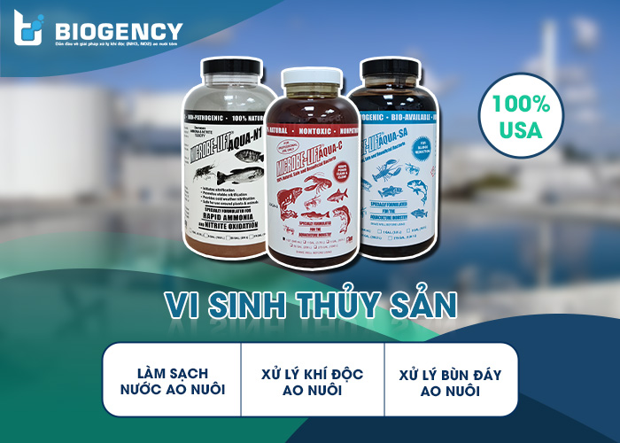 Sử dụng men vi sinh Microbe-Lift trong quá trình nuôi là biện pháp hạn chế chết tôm