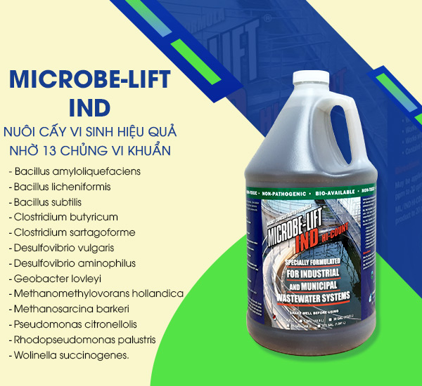 Men vi sinh Microbe-Lift IND chứa 13 chủng vi khuẩn giúp nuôi cấy vi sinh xử lý nước thải hiệu quả.