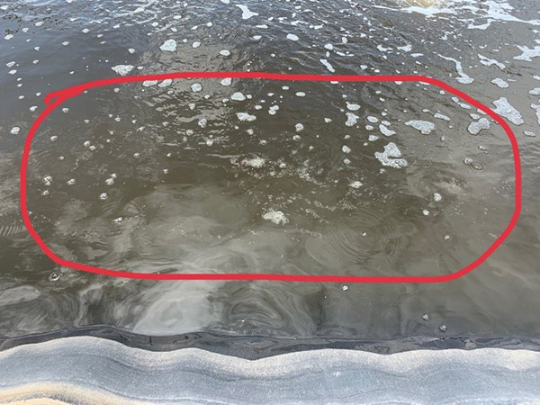 Vỏ lột rất nhiều ở ao sử dụng Microbe-Lift.