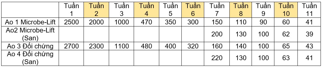 Size tôm theo tuần từ đầu vụ nuôi cho đến khi thu hoạch.
