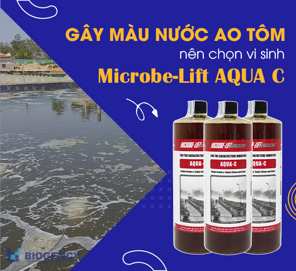 Gây màu nước ao tôm microbe-lift aqua c
