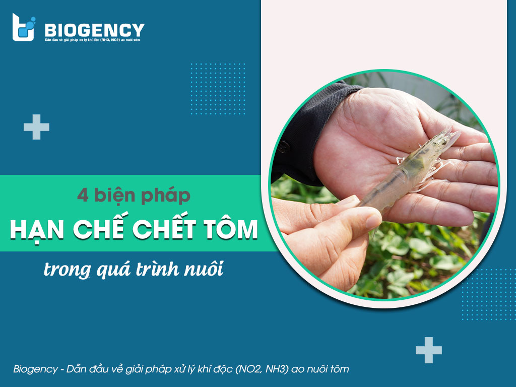 biện pháp hạn chế chết tôm