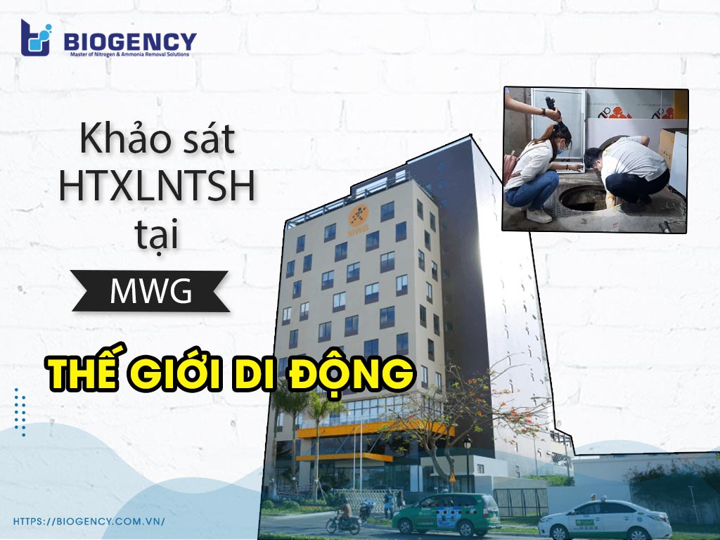 Khảo sát hệ thống xử lý nước thải thế giới di động