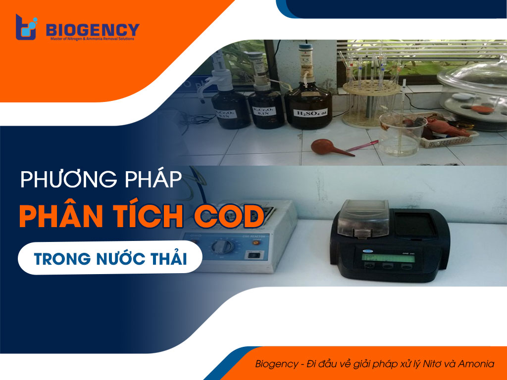 phân tích cod