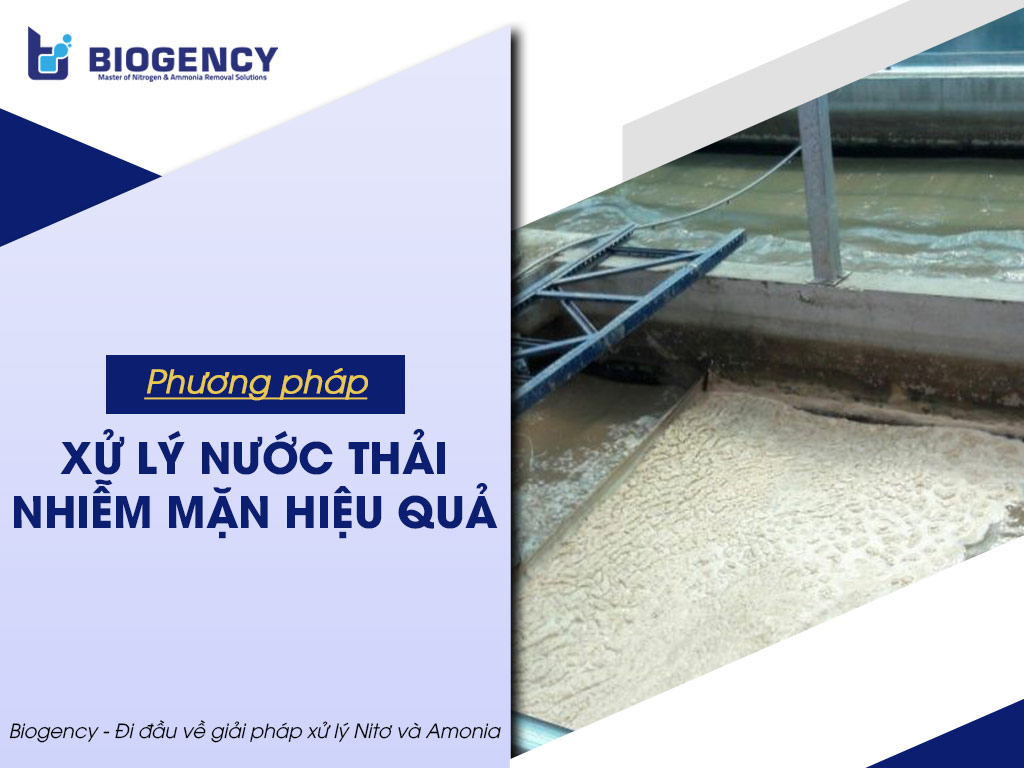 phương pháp xử lý nước thải nhiễm mặn