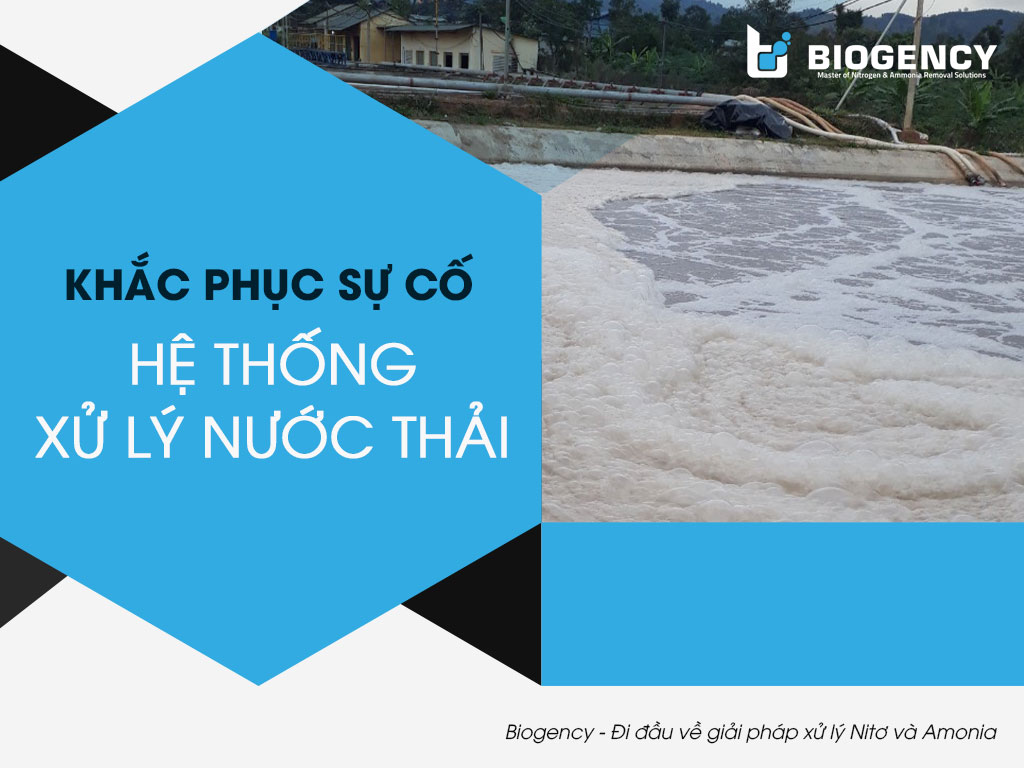sự cố hệ thống xử lý nước thải