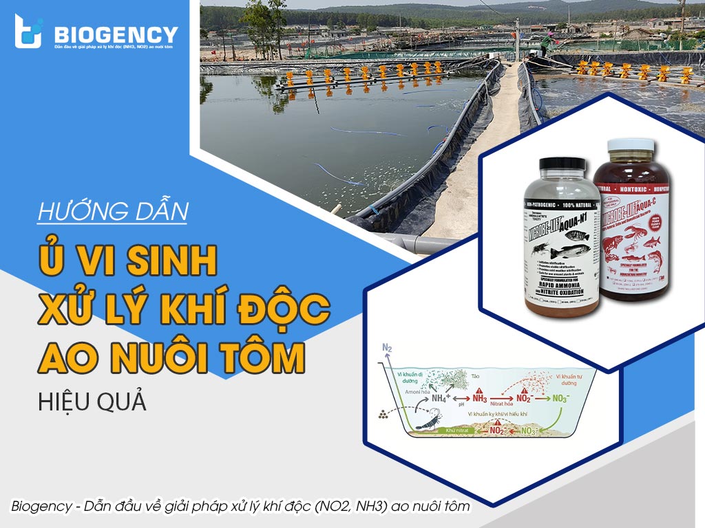 ủ vi sinh xử lý khí độc