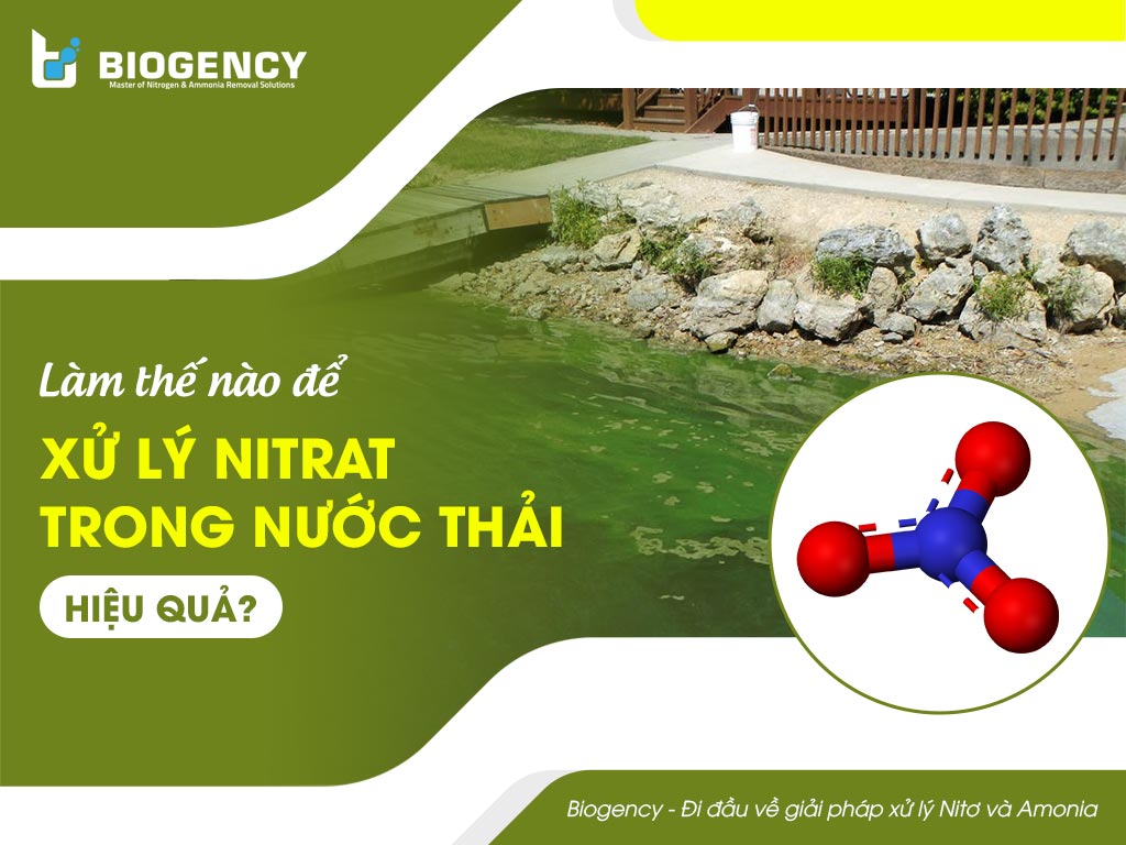 xử lý nitrat trong nước thải