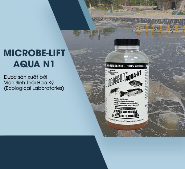 Men vi sinh Microbe-Lift AQUA N1 xử lý khí độc ao nuôi tôm