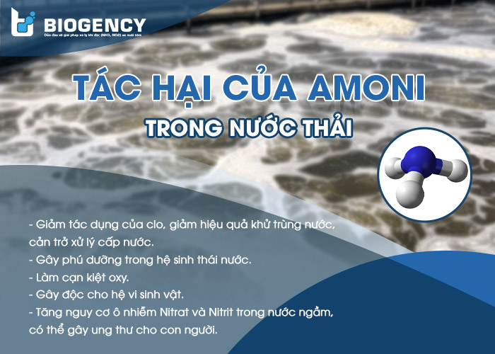 Nồng độ Amoni cao gây ra nhiều tác hại cho môi trường, con người và vật nuôi