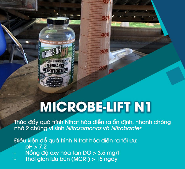 Men vi sinh lỏng Microbe-Lift N1 phản ứng Nitrat hóa