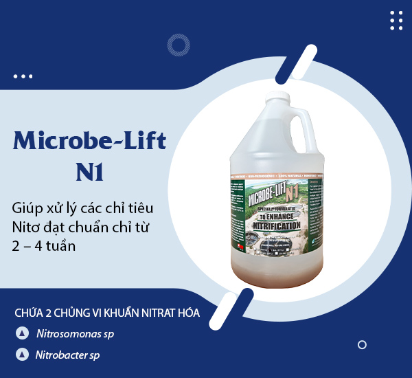 Vi sinh dạng lỏng Microbe-Lift N1 là sản phẩm duy nhất trên thị trường chứa 2 chủng vi khuẩn Nitrat hóa Nitrosomonas sp. và Nitrobacter sp